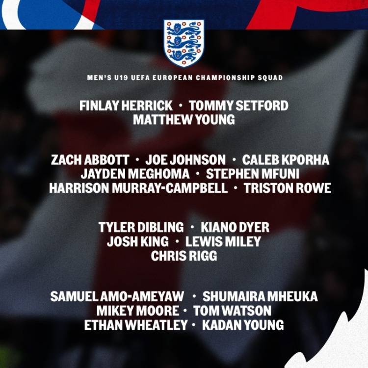英格兰队欧青赛名单：迪布林、里格、惠特利在列，切尔西3人